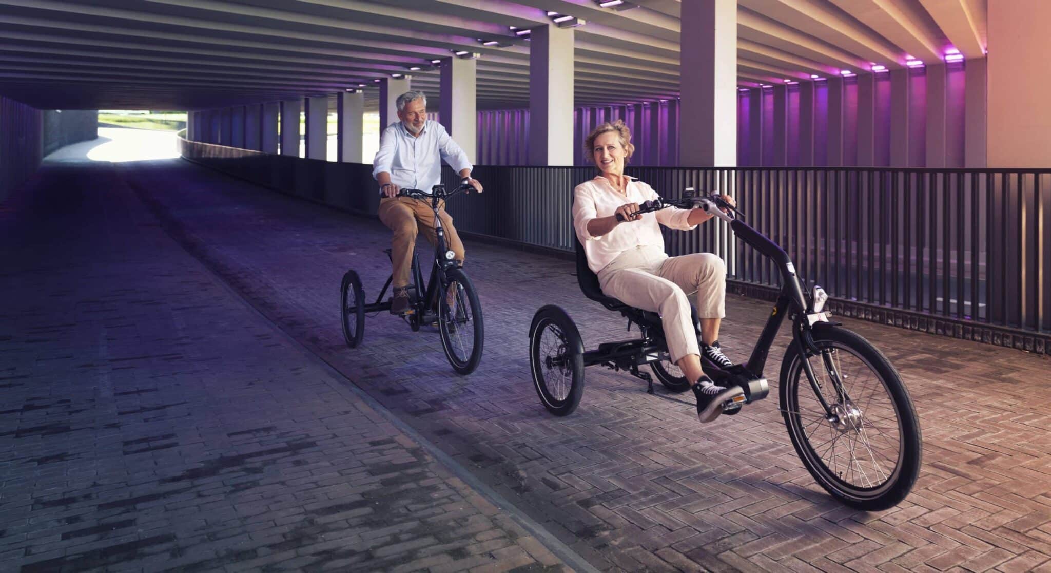 aangepaste elektrische fiets