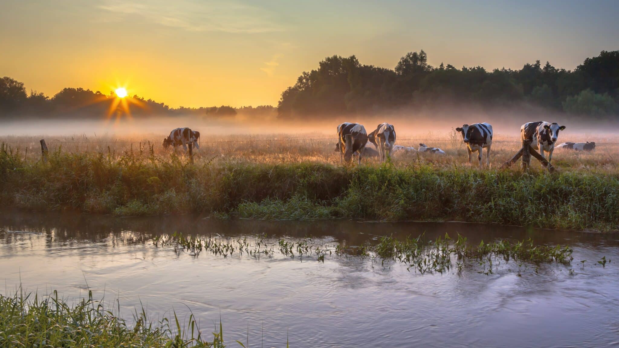 Weekendje Twente