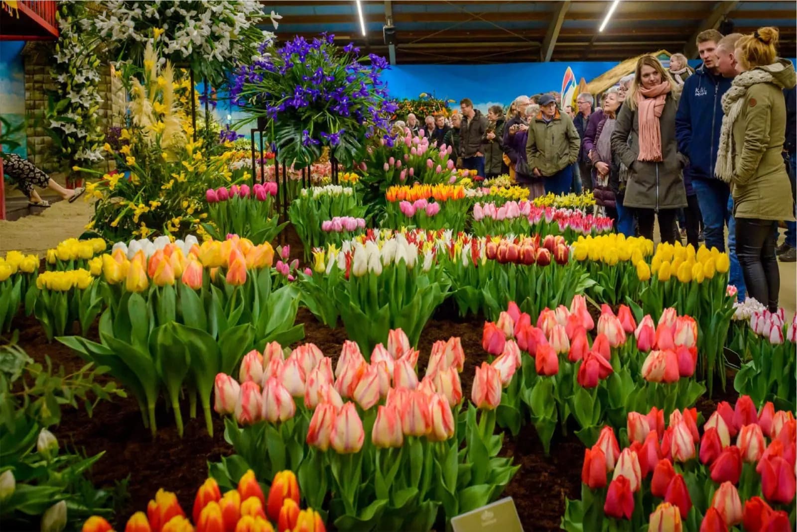 Lentetuin